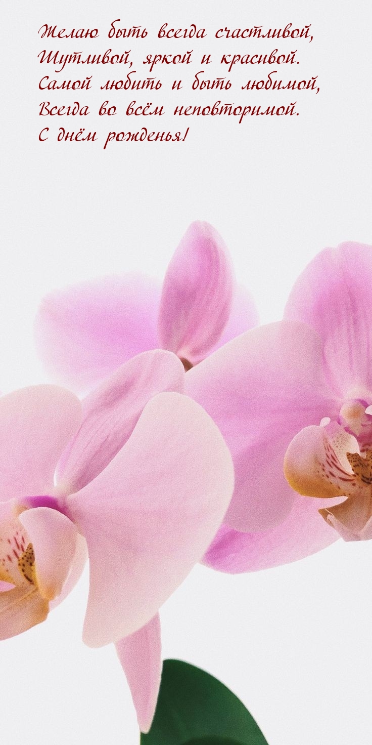 Желаю быть всегда счастливой, шутливой, яркой и красивой.