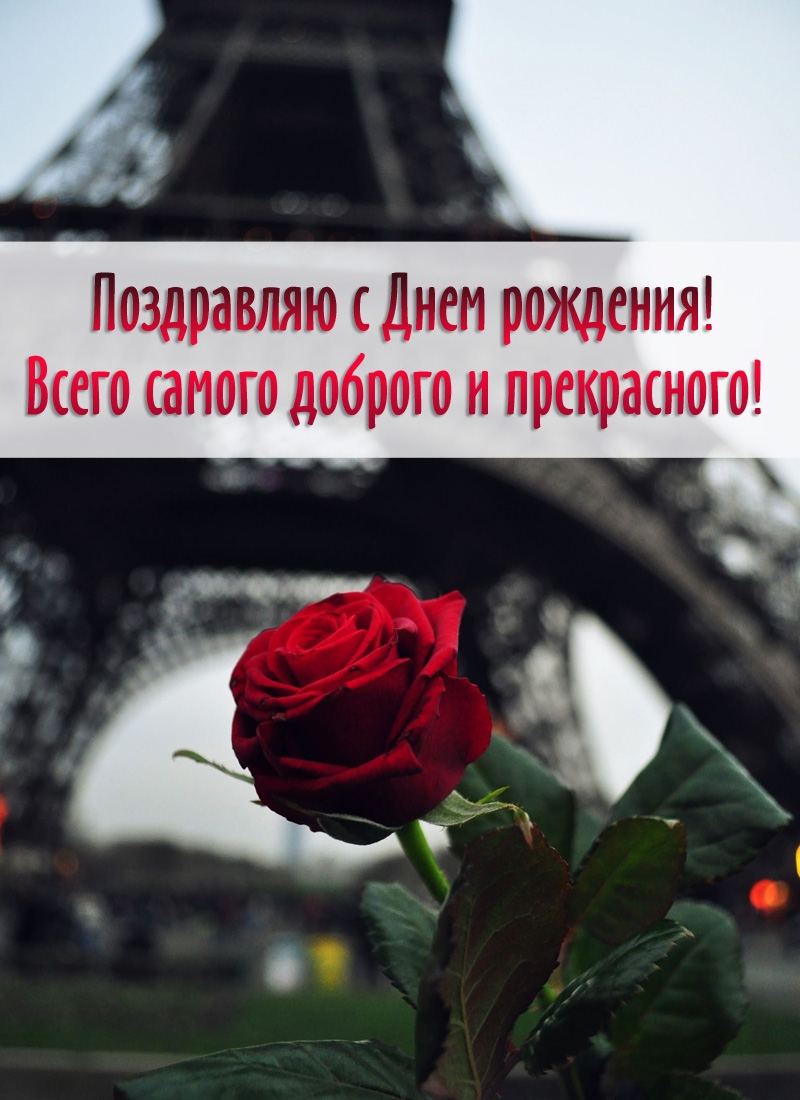 С Днем рождения! Всего самого доброго и прекрасного!