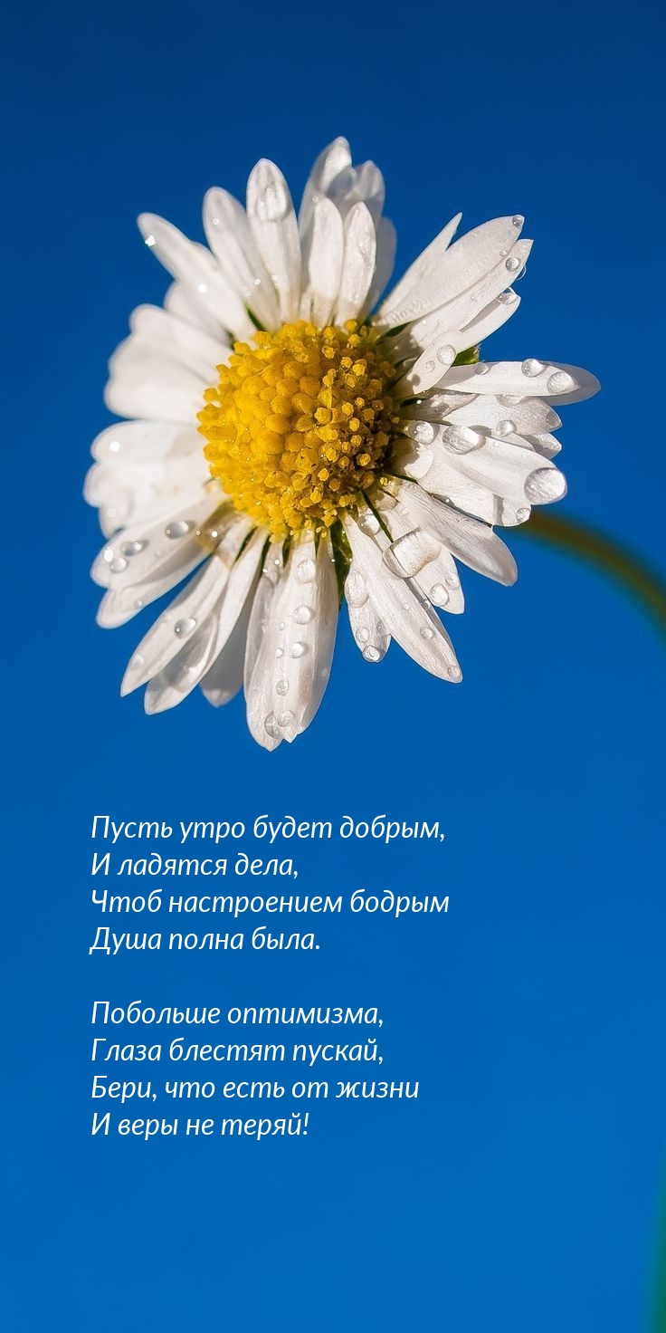 Пусть утро будет добрым, и ладятся дела