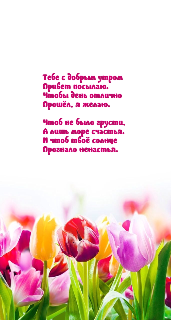 Тебе с добрым утром привет посылаю.