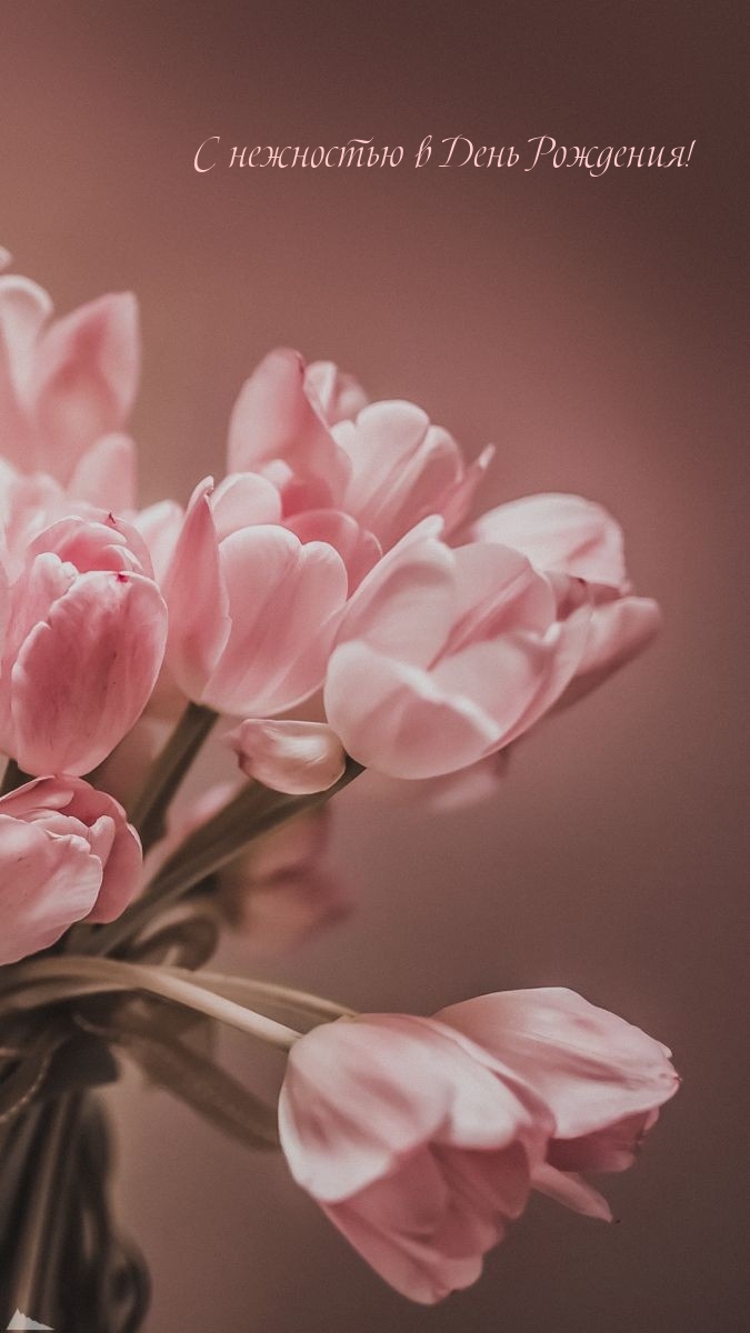 С нежностью в День Рождения!