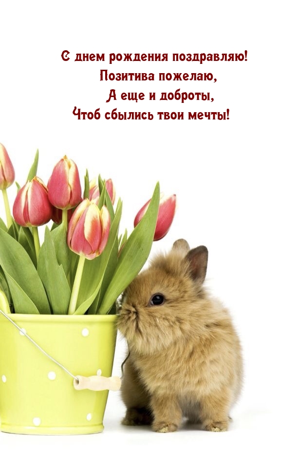 С днем рождения поздравляю! Позитива пожелаю