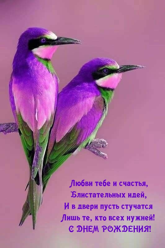 Любви тебе и счастья, блистательных идей