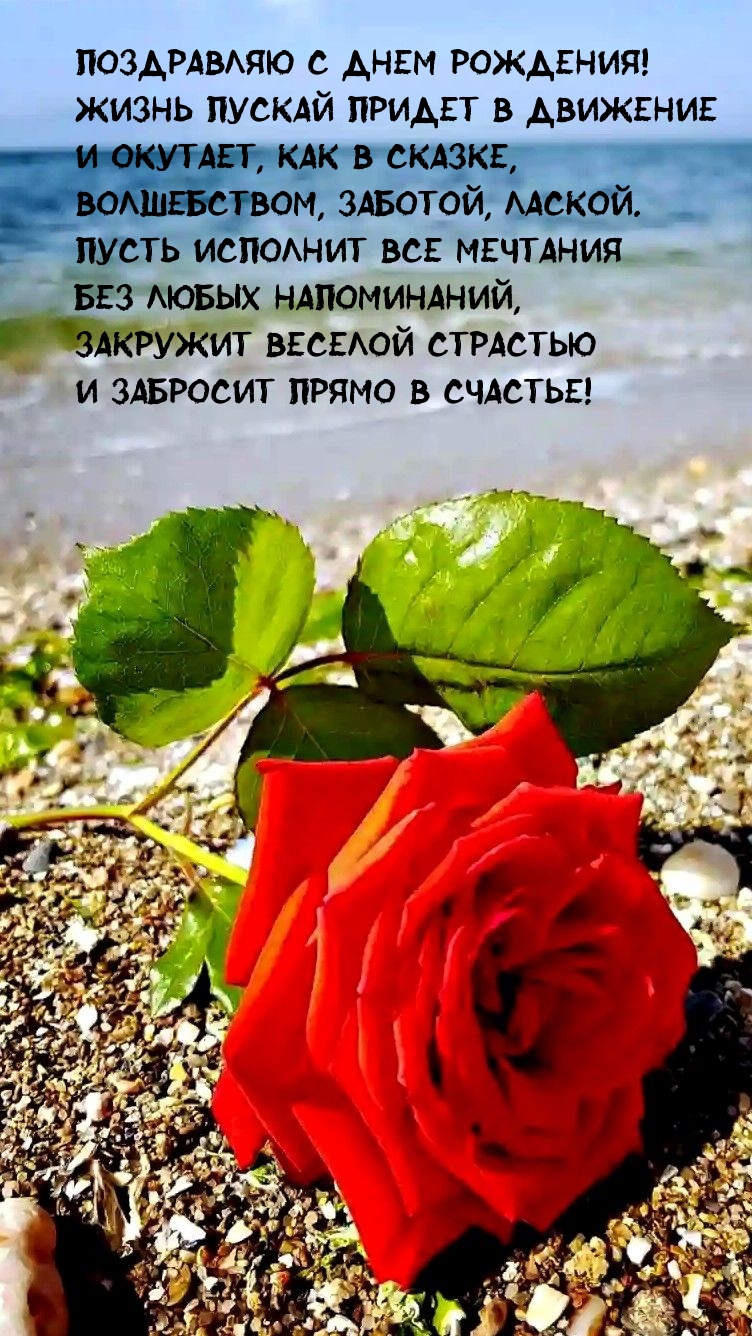 С днем рождения! Жизнь пускай придет в движение