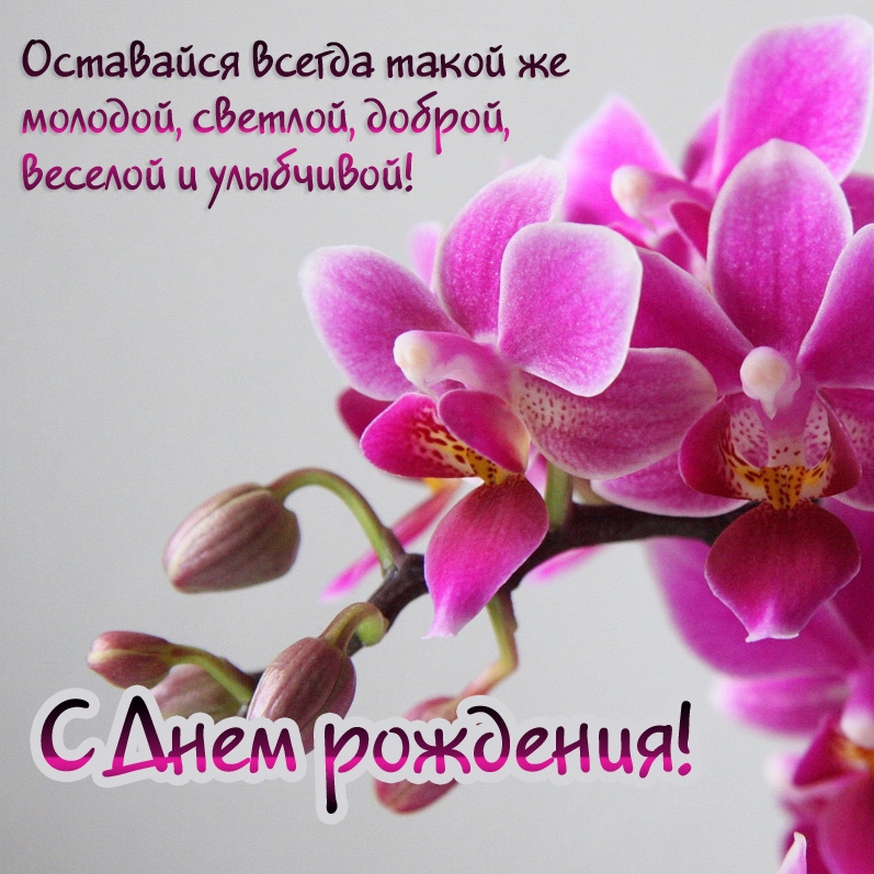 Оставайся всегда такой же молодой, светлой, доброй, веселой 