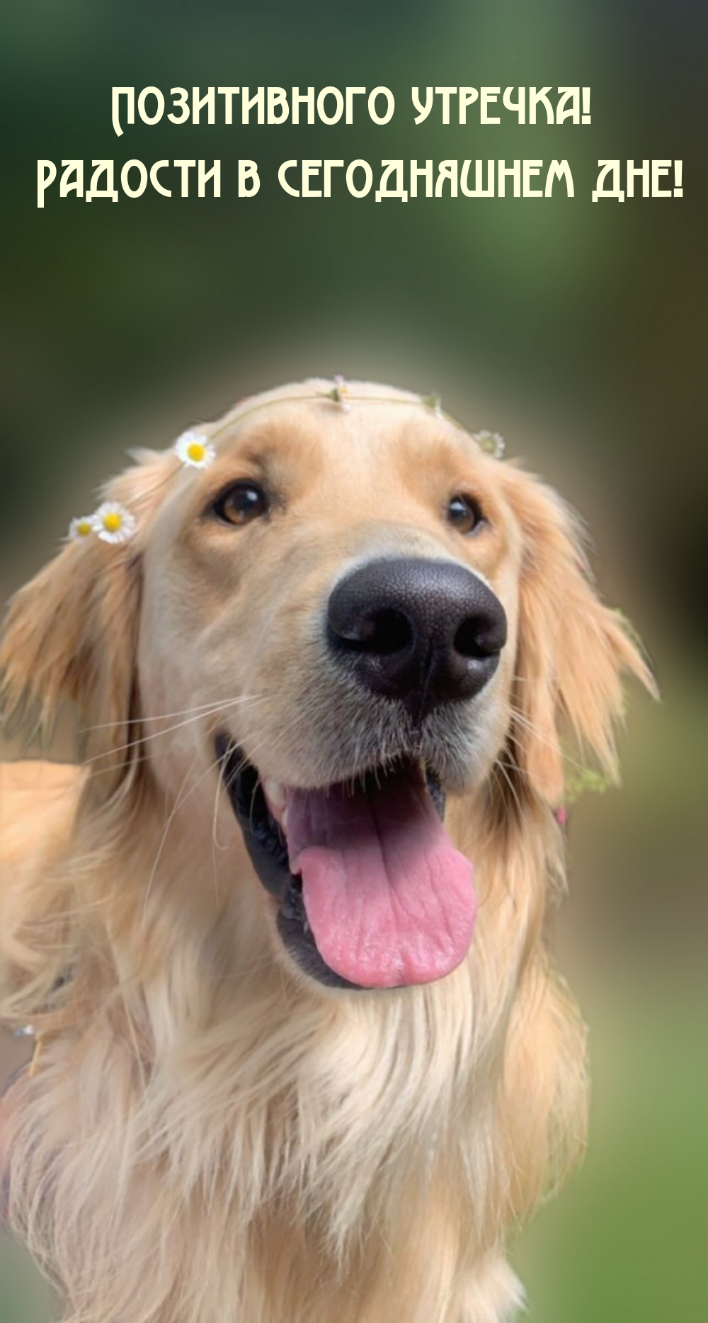 Позитивного утречка! Радости в сегодняшнем дне! 