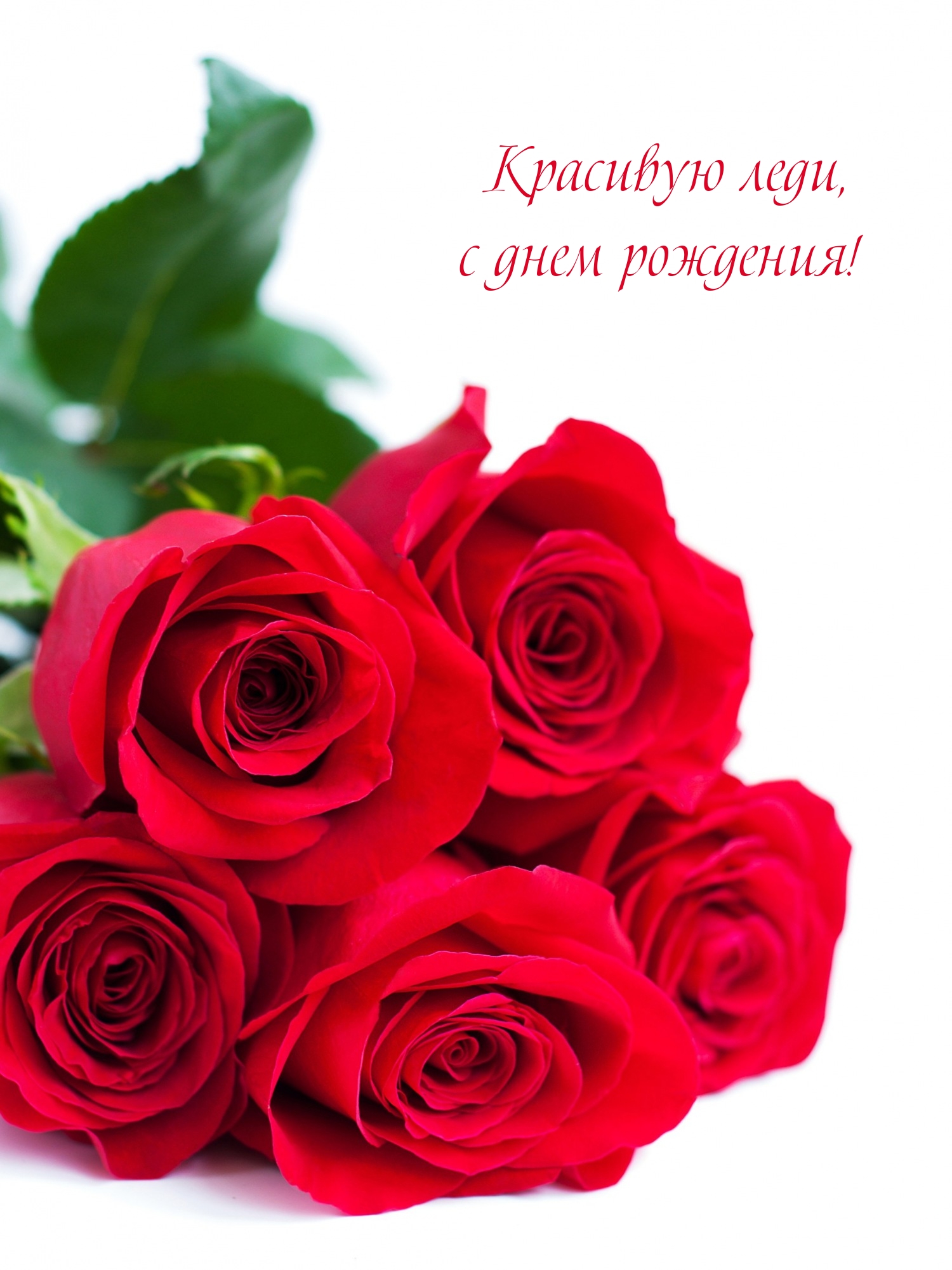 Красивую леди, с днем рождения!