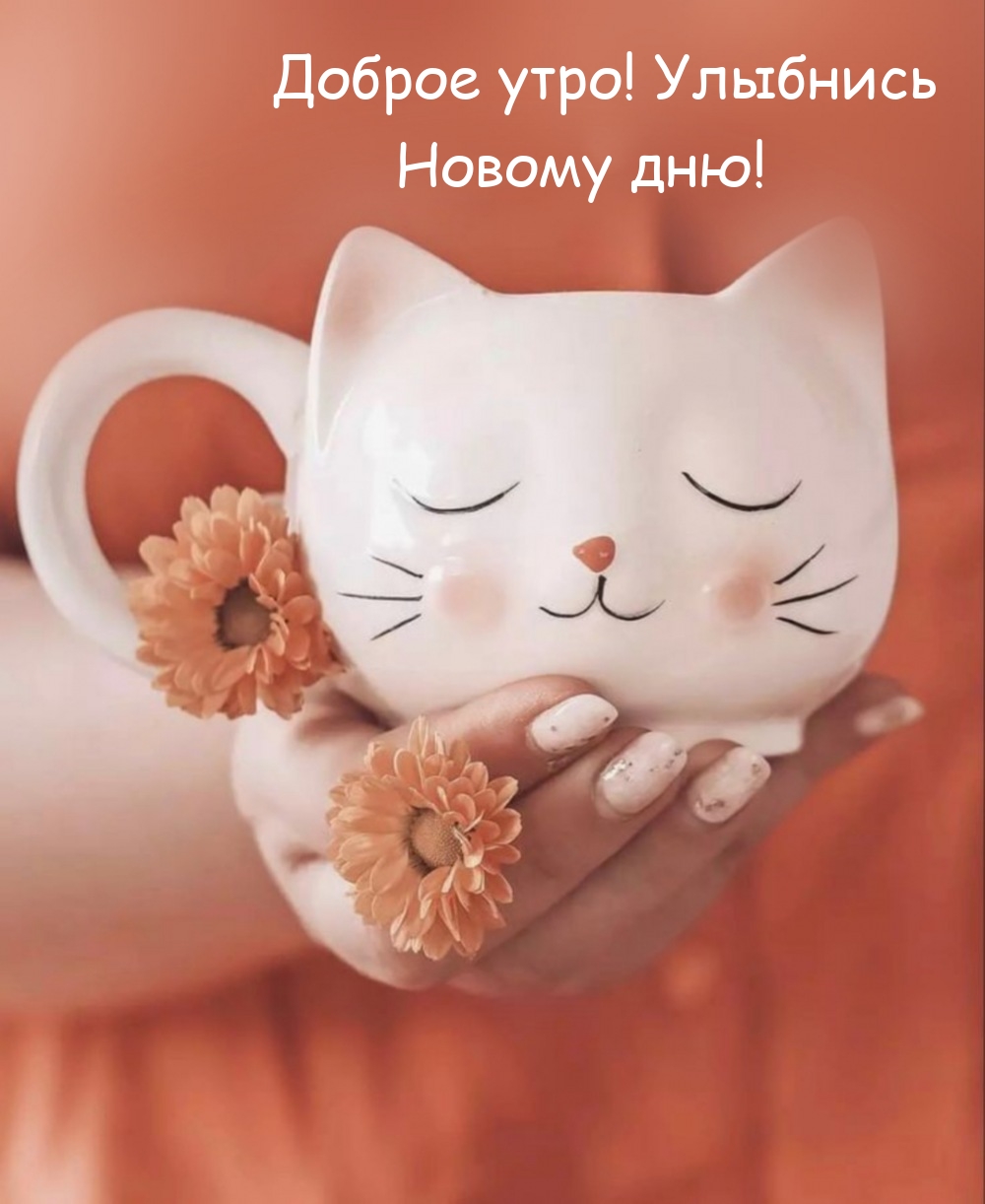 Доброе утро! Улыбнись новому дню! 