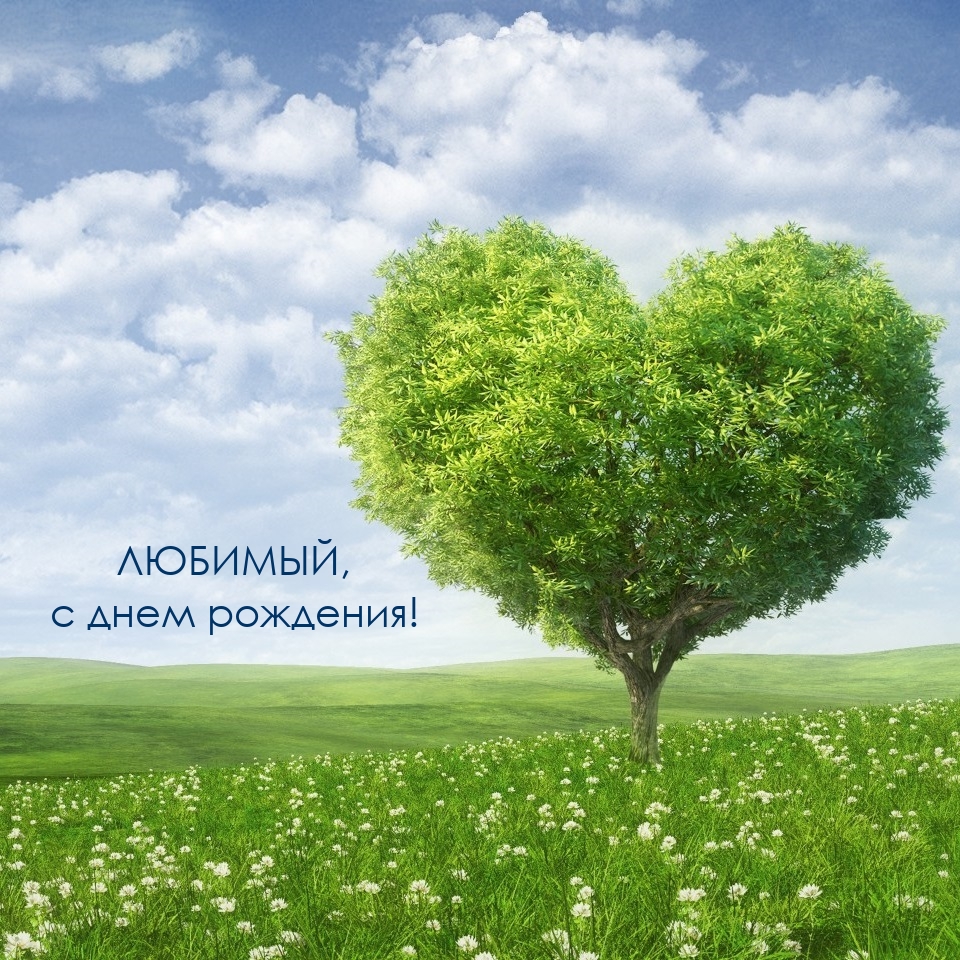 Любимый, с днем рождения!