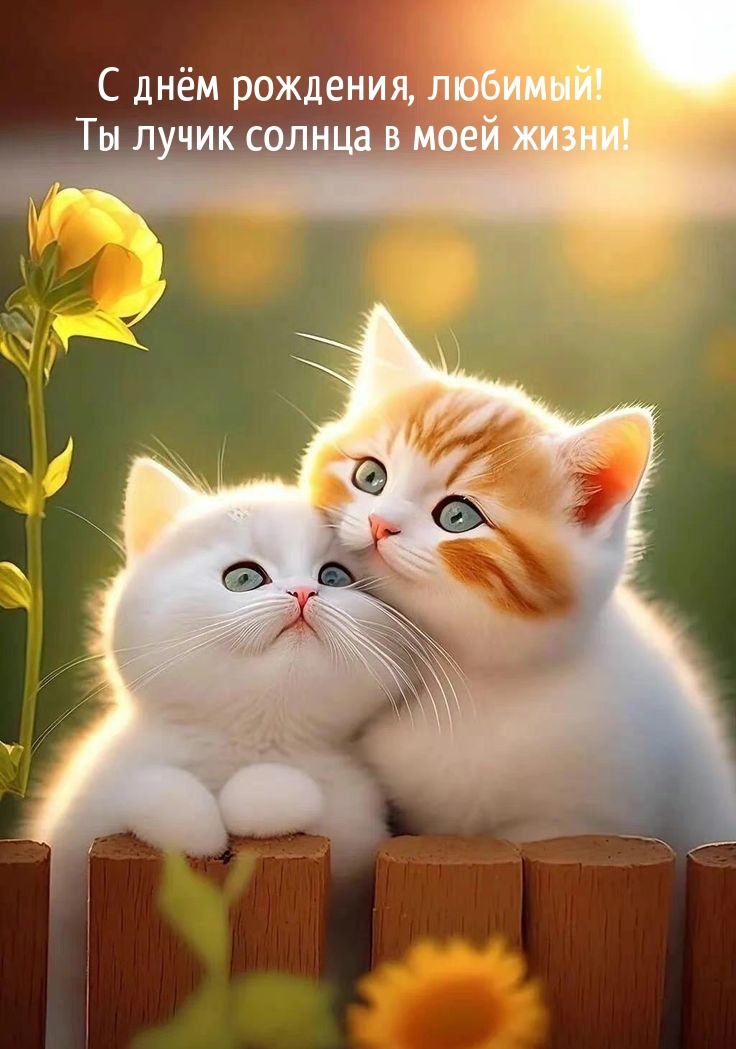 С днём рождения, любимый! Ты лучик солнца в моей жизни!