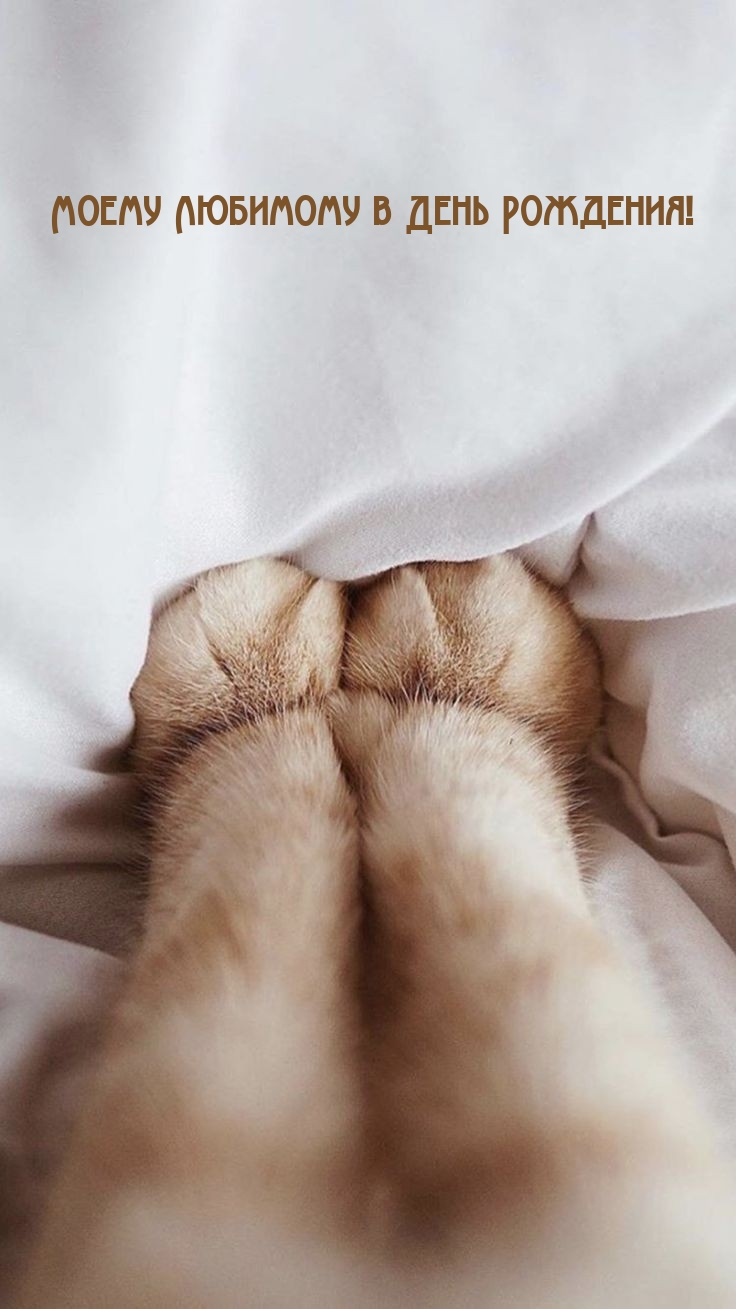 Моему Любимому в День Рождения!