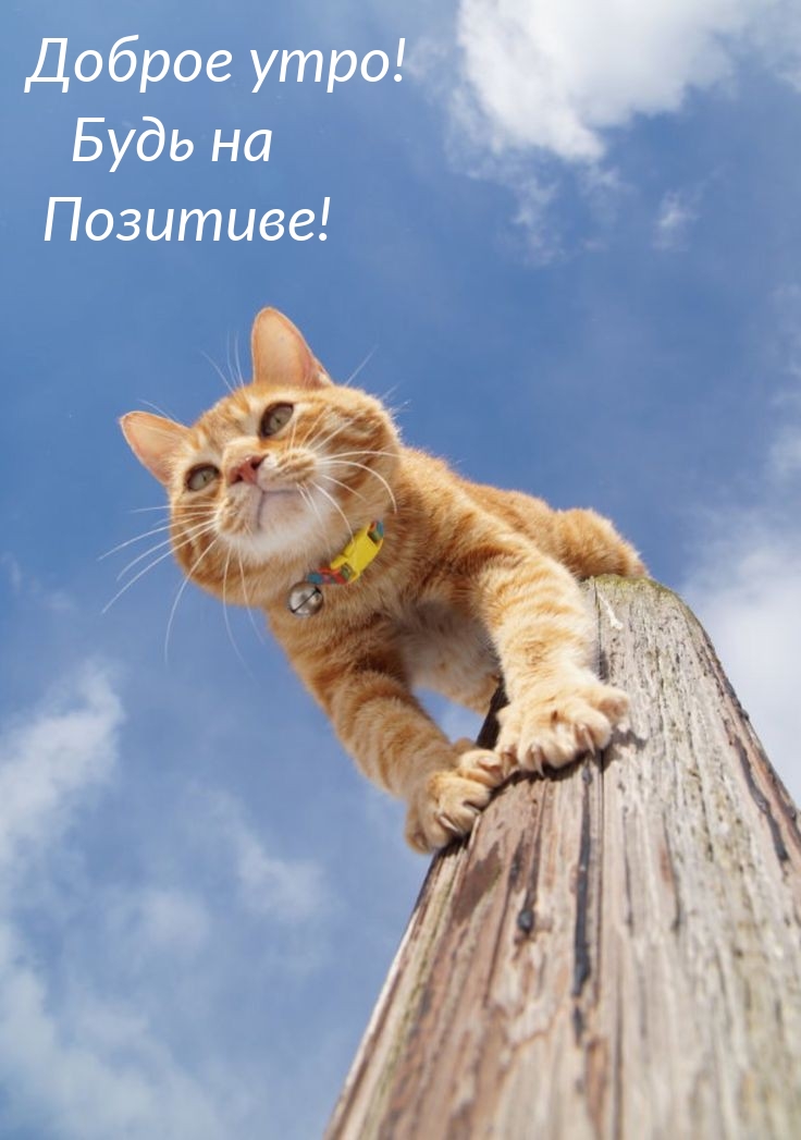 Доброе утро! Будь на Позитиве!