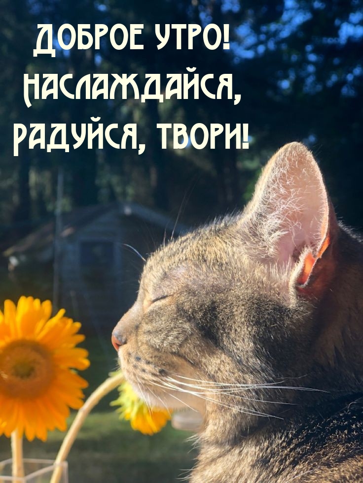 Доброе утро! Наслаждайся, радуйся, твори! 