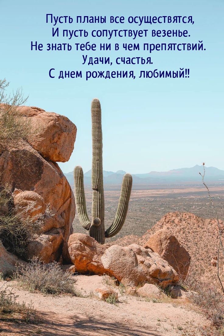 Удачи, счастья. С днем рождения, любимый!