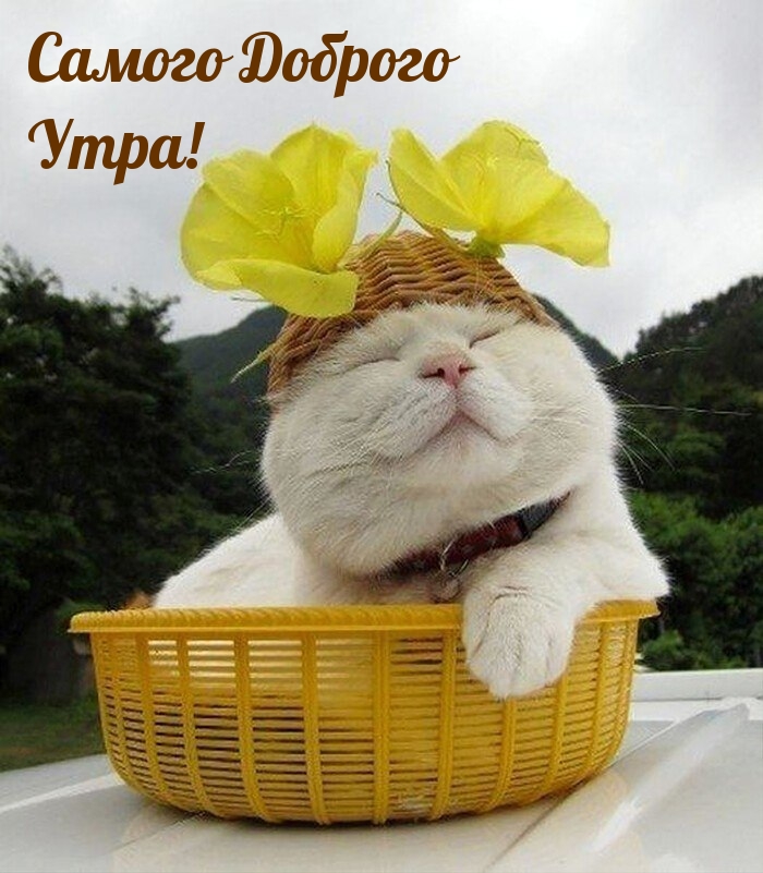 Самого доброго утра!