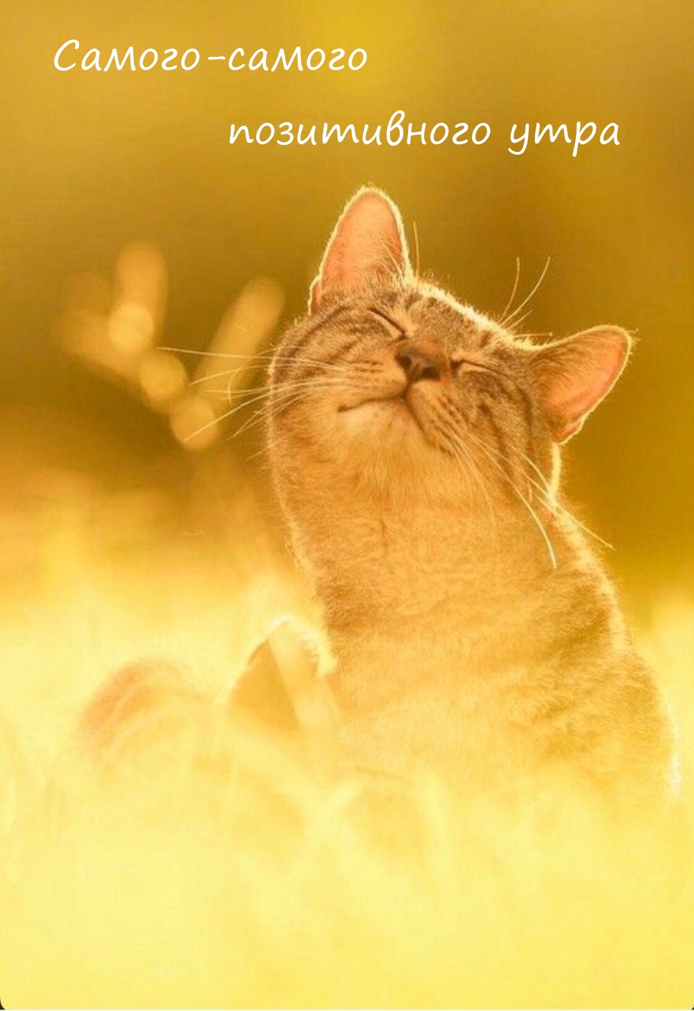 Самого-самого позитивного утра