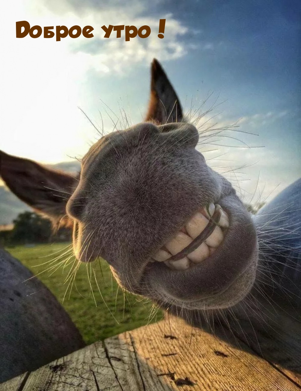 Доброе утро!