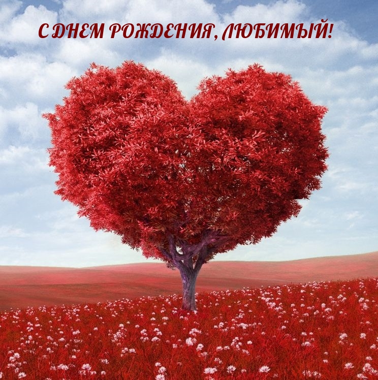 С днем рождения, любимый!