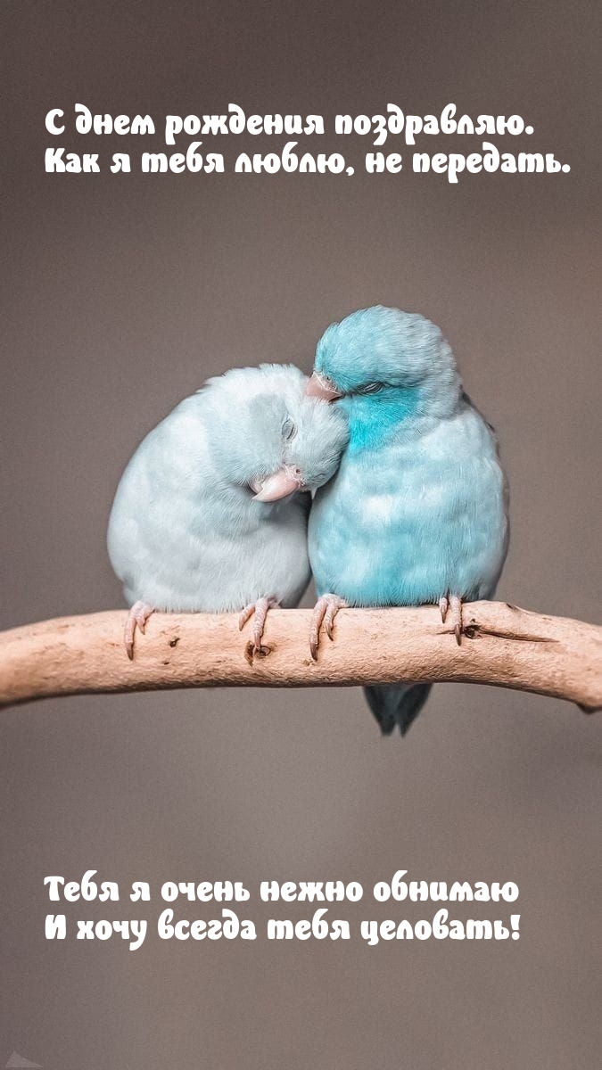 С днем рождения поздравляю. Как я тебя люблю, не передать.