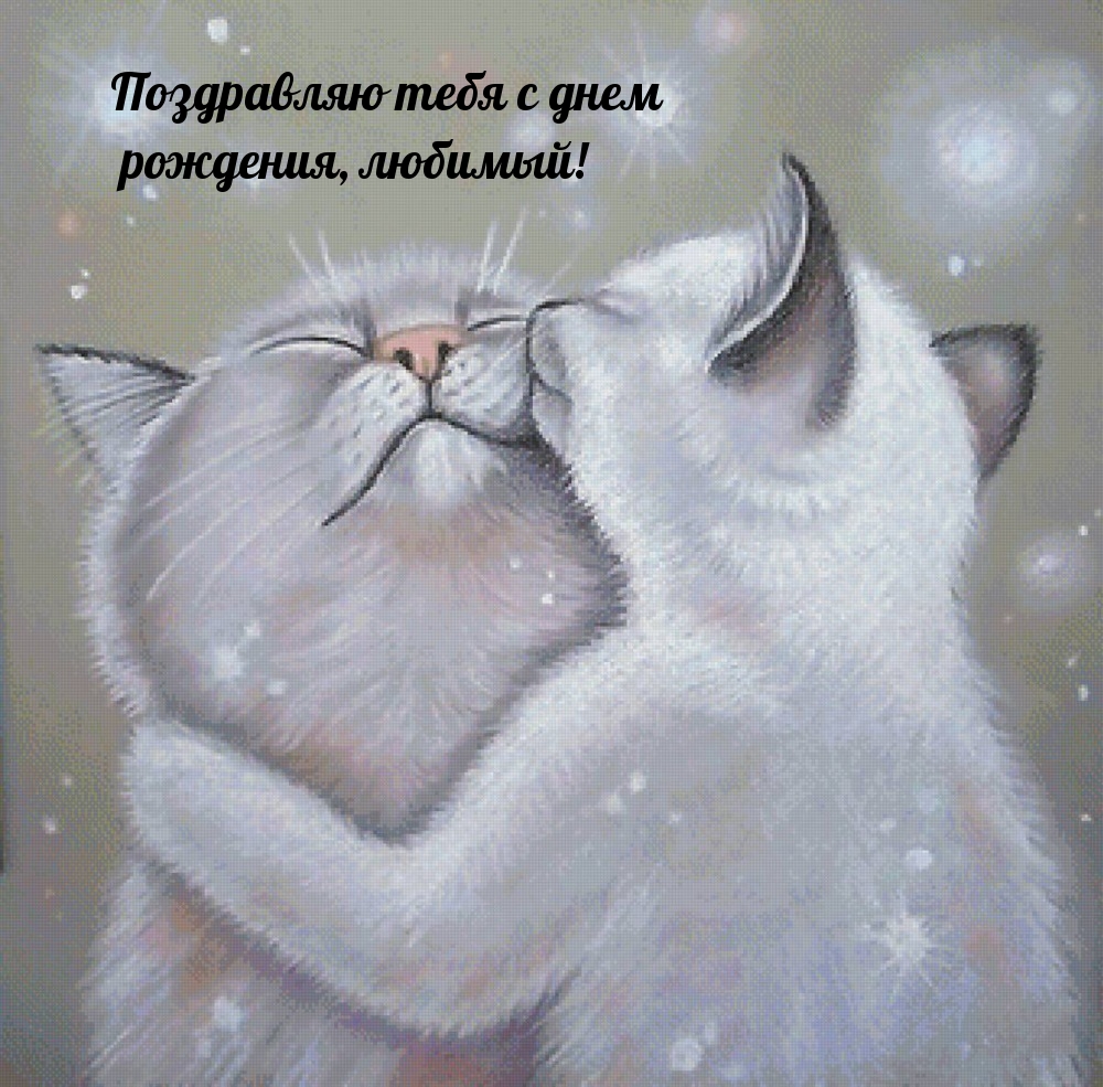 Поздравляю тебя с днем рождения, любимый!