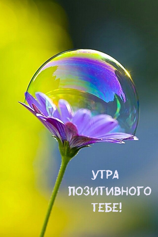 Утра позитивного тебе!