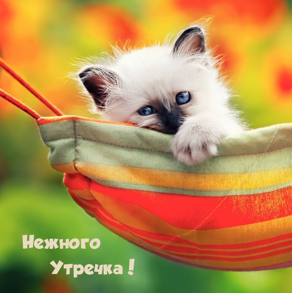 Нежного утречка! 