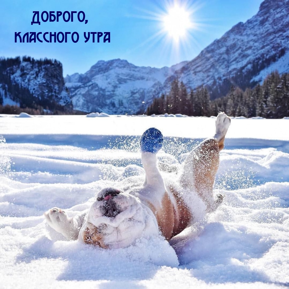 Доброго, классного утра