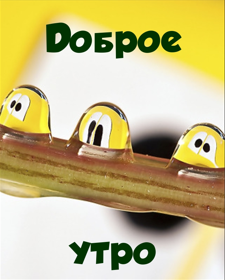 Доброе утро