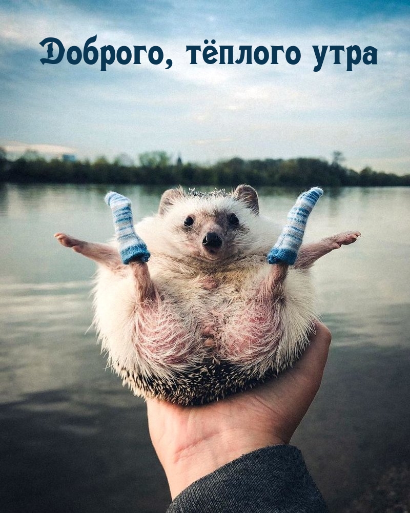 Доброго, тёплого утра