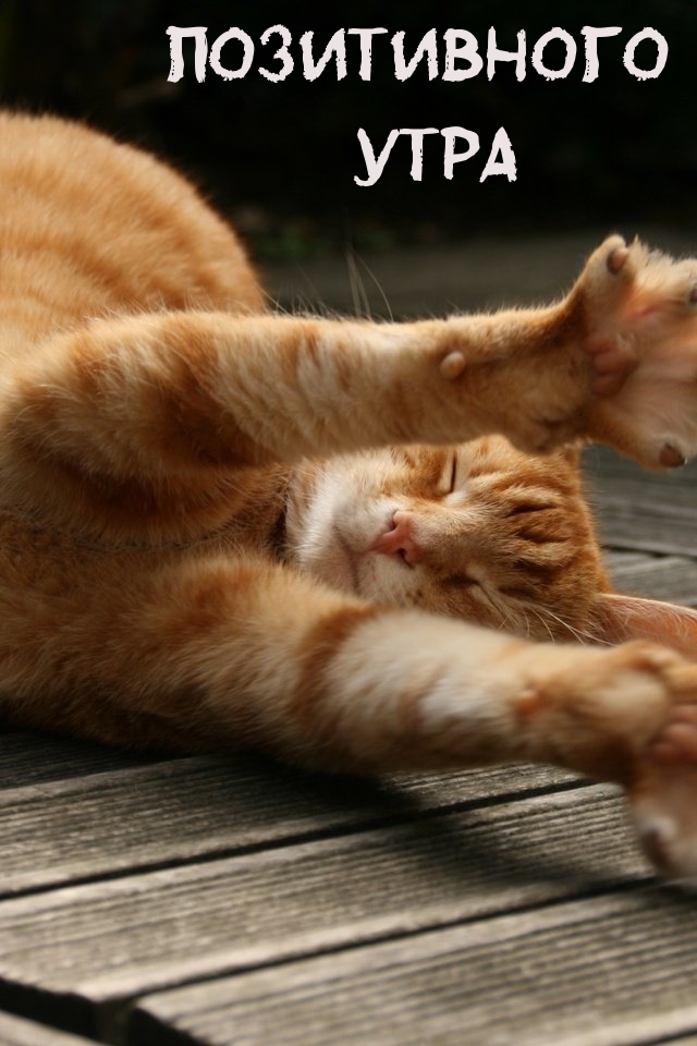 Позитивного утра