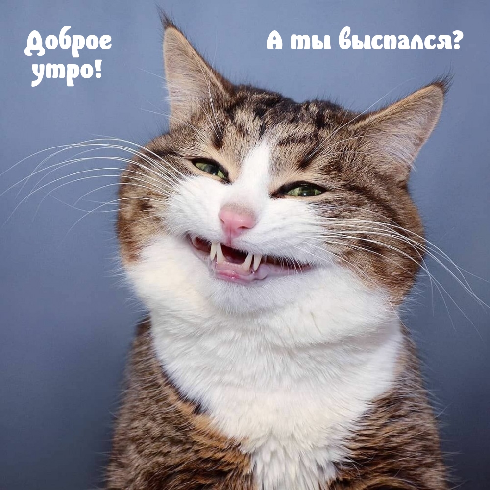 Доброе утро! А ты выспался?