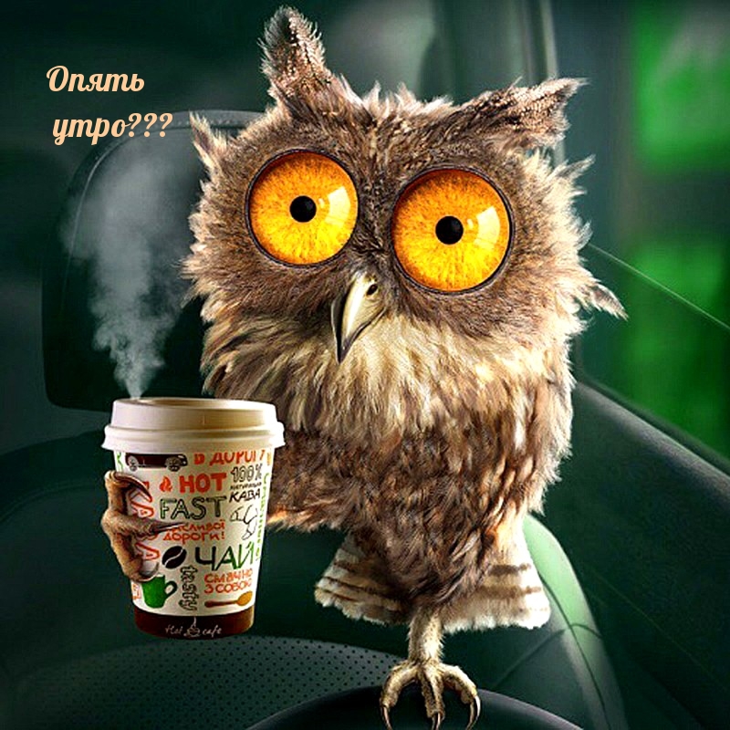 Опять утро???