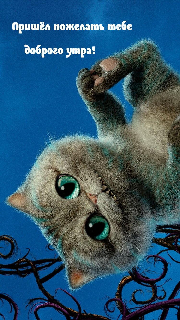 Пришёл пожелать тебе доброго утра!
