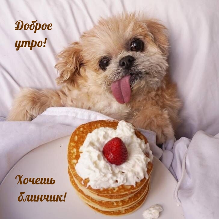 Доброе утро! Хочешь блинчик!