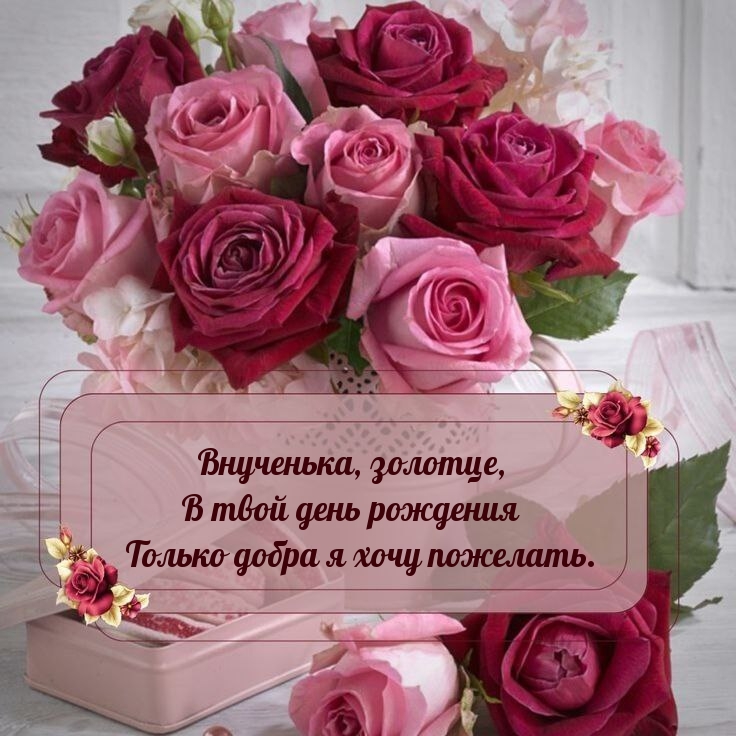 Внученька, золотце, в день рождения только добра я хочу пожелать.