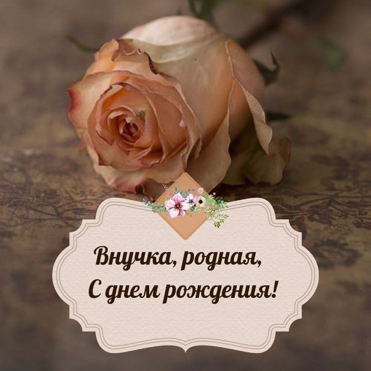 Внучка, родная, с днем рождения!