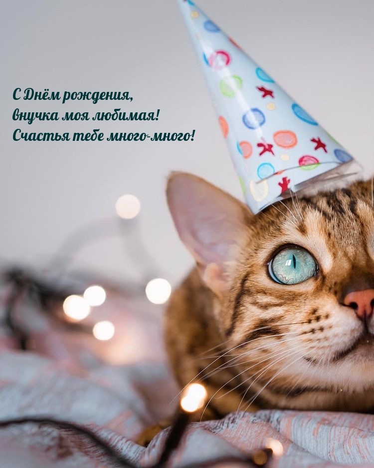 С Днём рождения, внучка моя любимая! Счастья тебе много-много!
