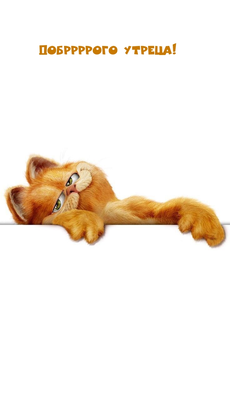 Добррррого утреца!