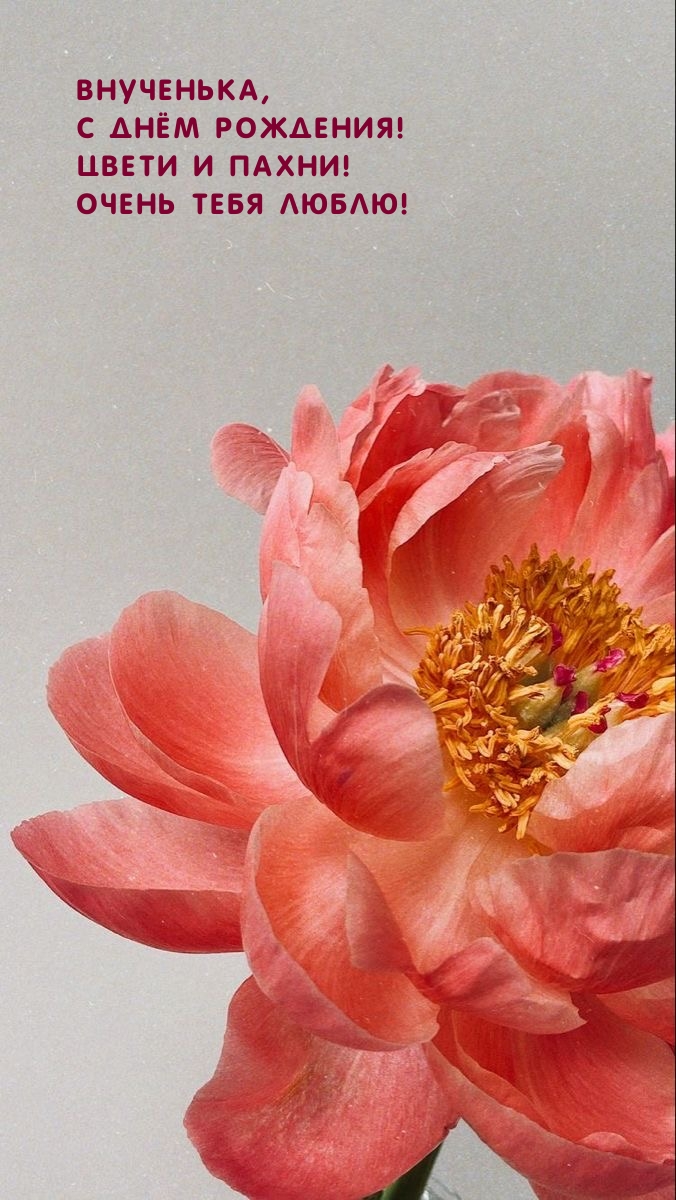 Внученька, с Днём рождения! Цвети и пахни! Очень тебя люблю!