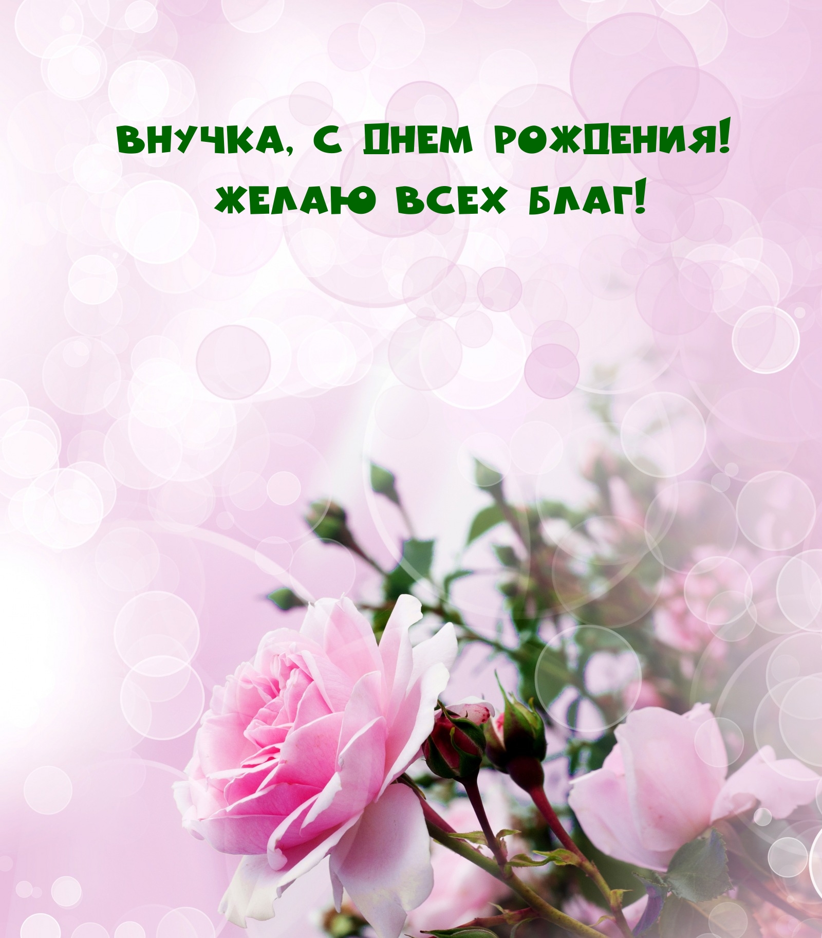 Внучка, с днем рождения! Желаю всех благ!