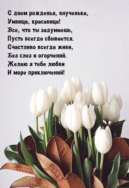 С днем рожденья, внученька, умница, красавица!