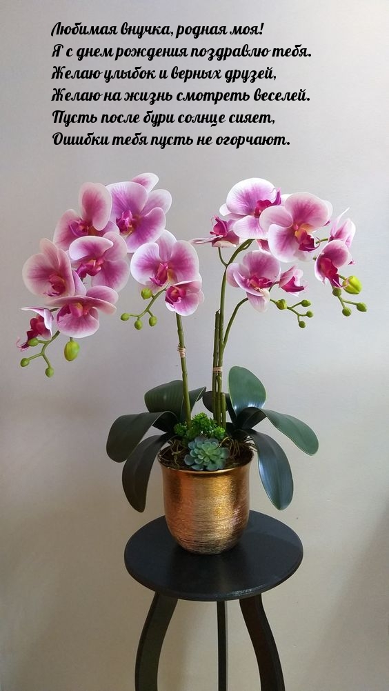 Любимая внучка, родная моя! Я с днем рождения поздравлю тебя