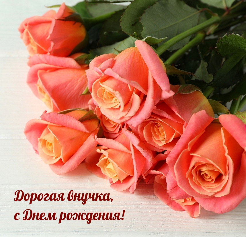 Дорогая внучка, с Днем рождения!