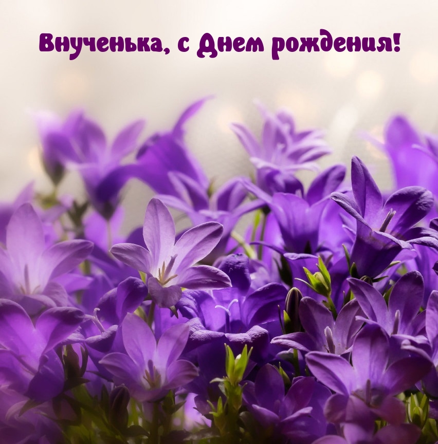 Внученька, с Днем рождения!