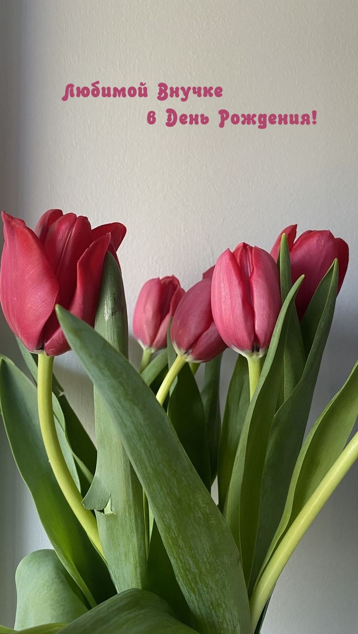 Любимой Внучке в День Рождения! 