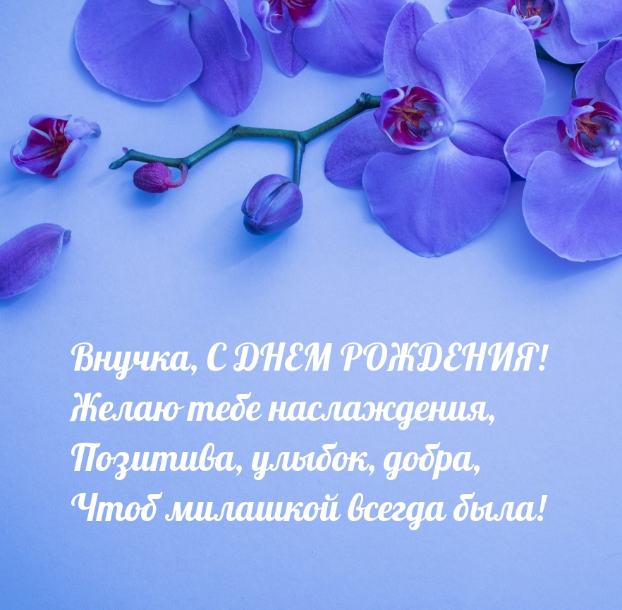 Внучка, с днем рождения! Желаю тебе наслаждения