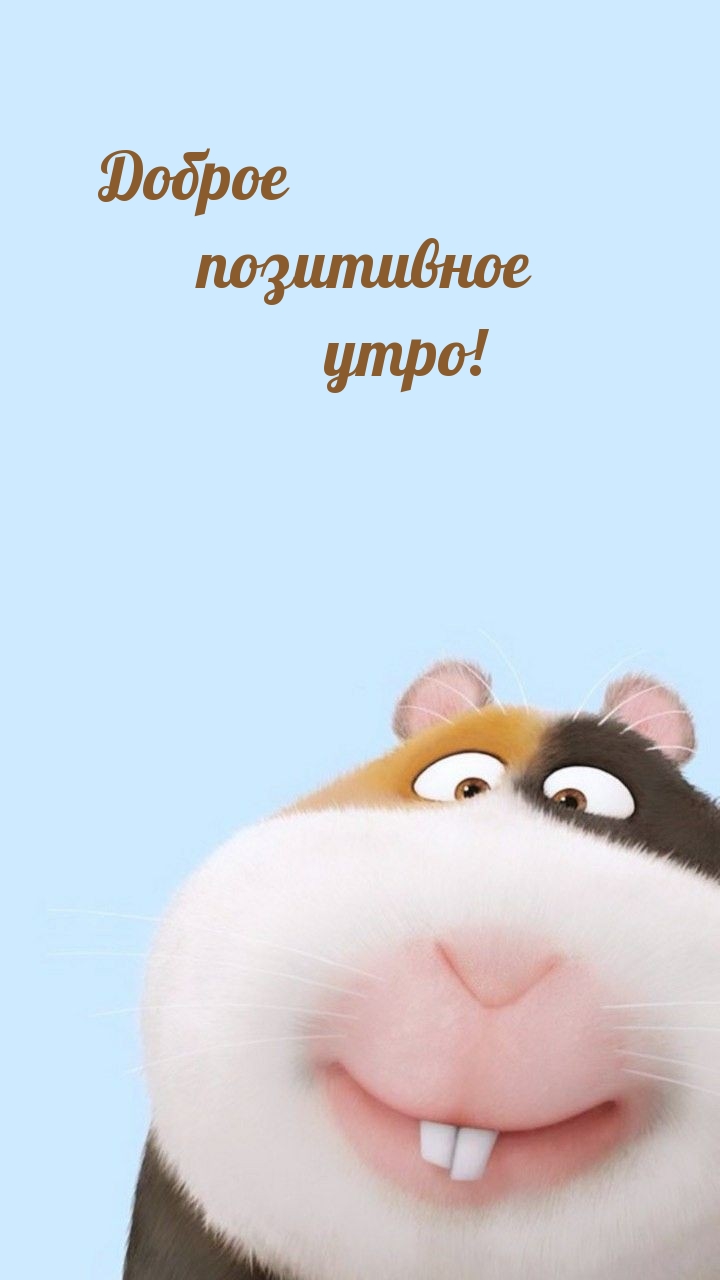 Доброе позитивное утро!