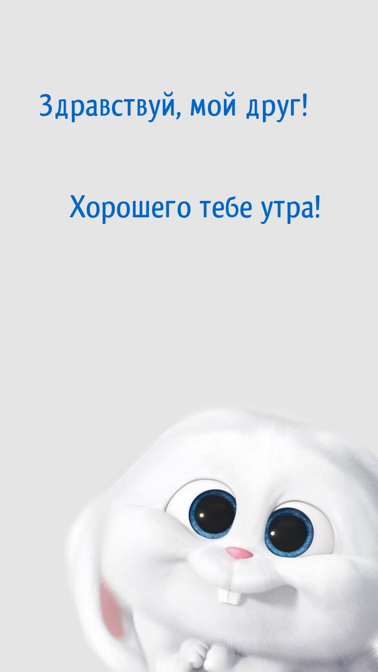 Здравствуй, мой друг! Хорошего тебе утра!