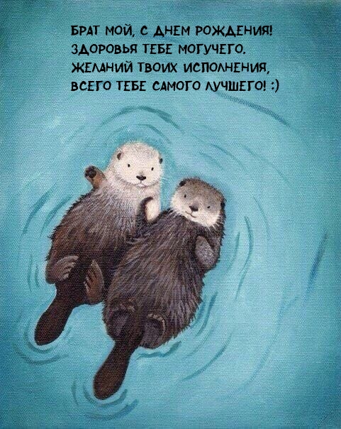 Брат мой, с днем рождения! Здоровья тебе могучего.