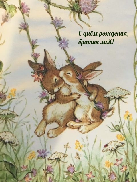 С днём рождения, братик мой!